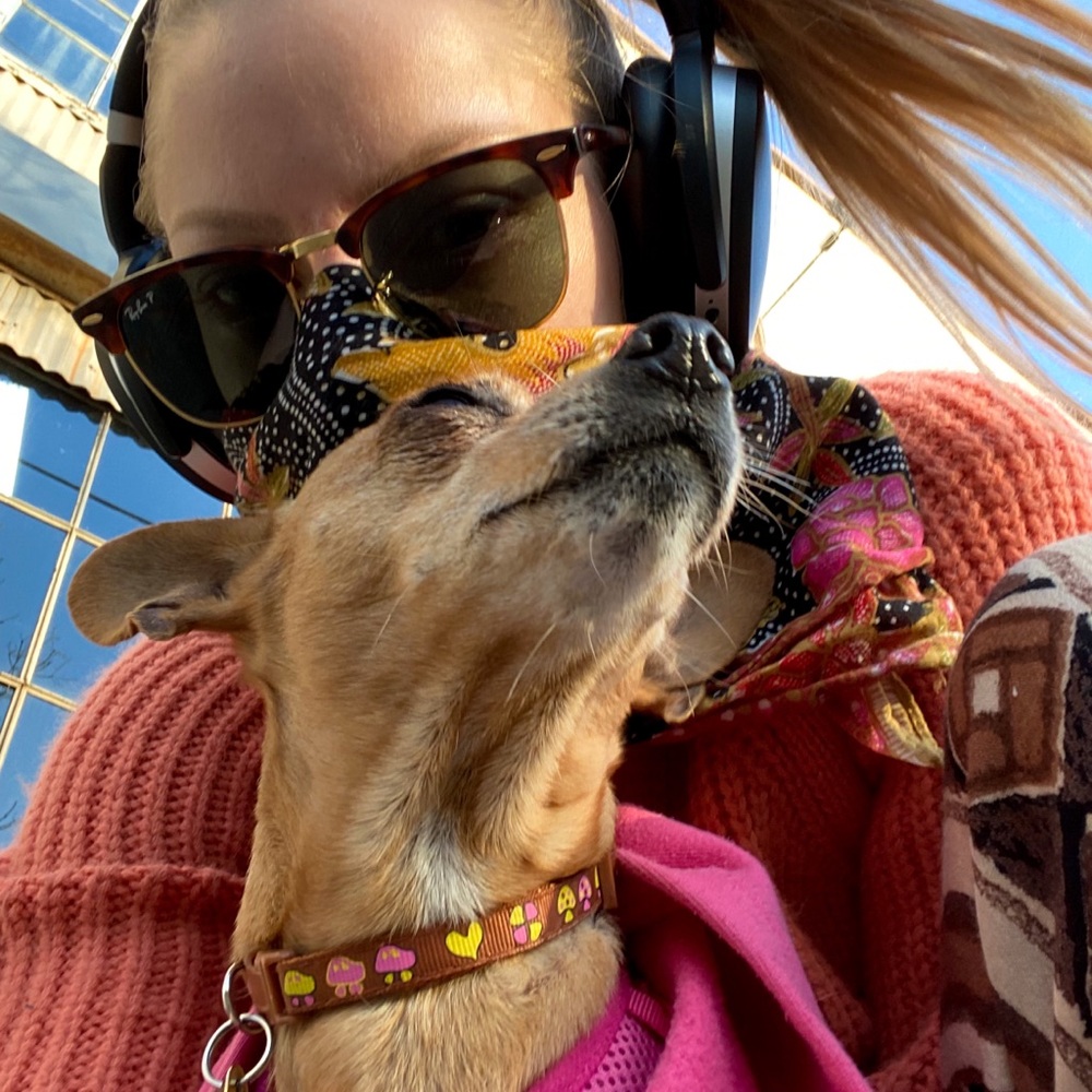 Meet your Posher 🍄🌿🌙🥀🌈 - Picture 3 of 8